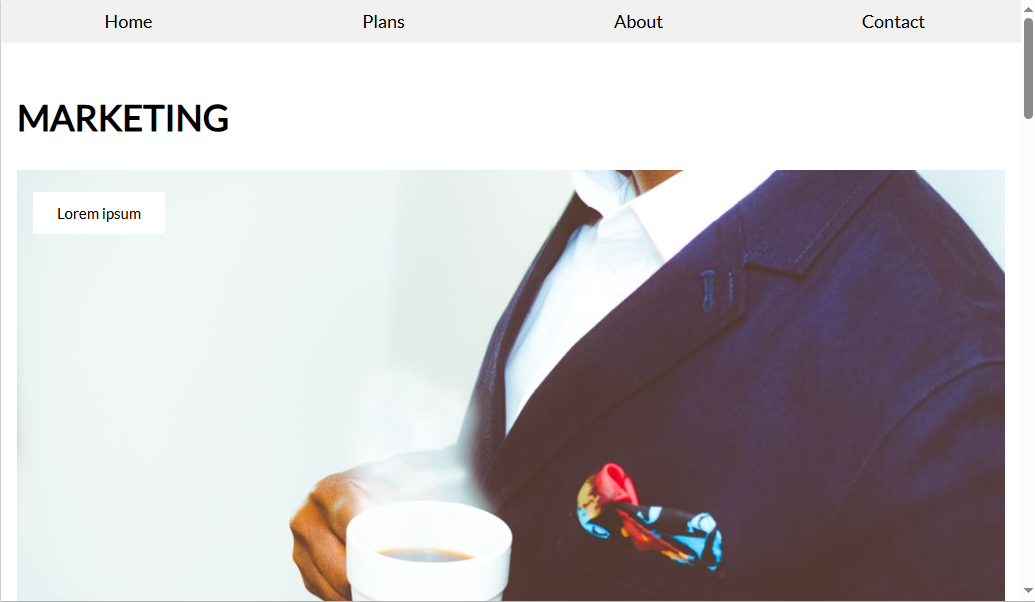 Business Website preview
